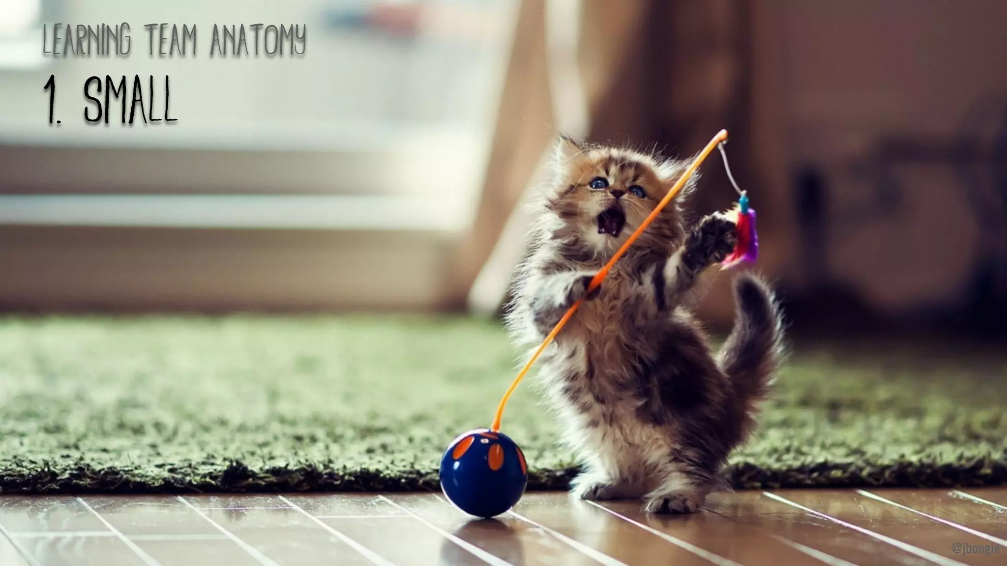 @jboogie@jboogie
learning team anatomy
1. small
 