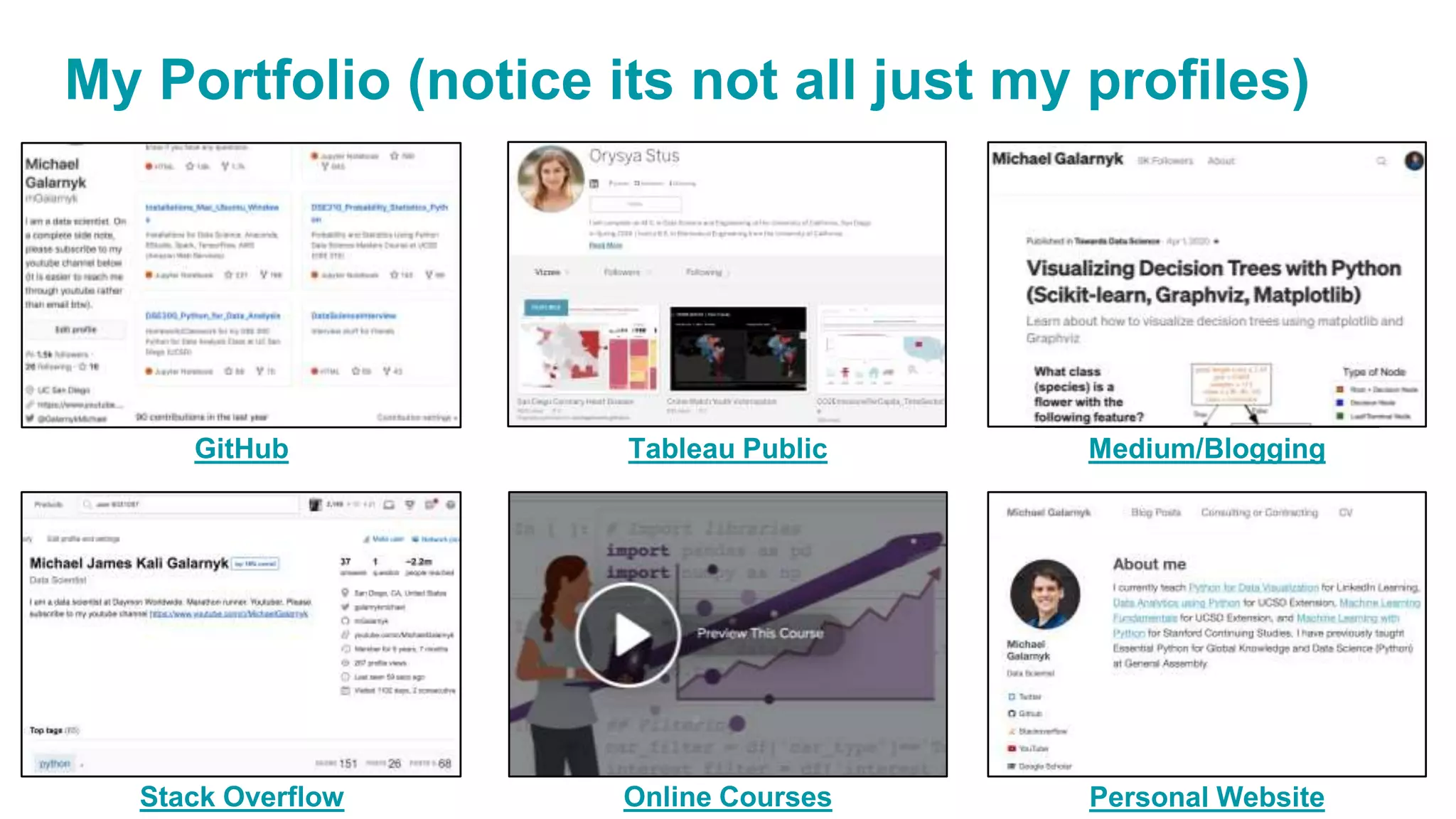 My Portfolio (notice its not all just my profiles)
GitHub Tableau Public Medium/Blogging
Stack Overflow Online Courses Personal Website
 