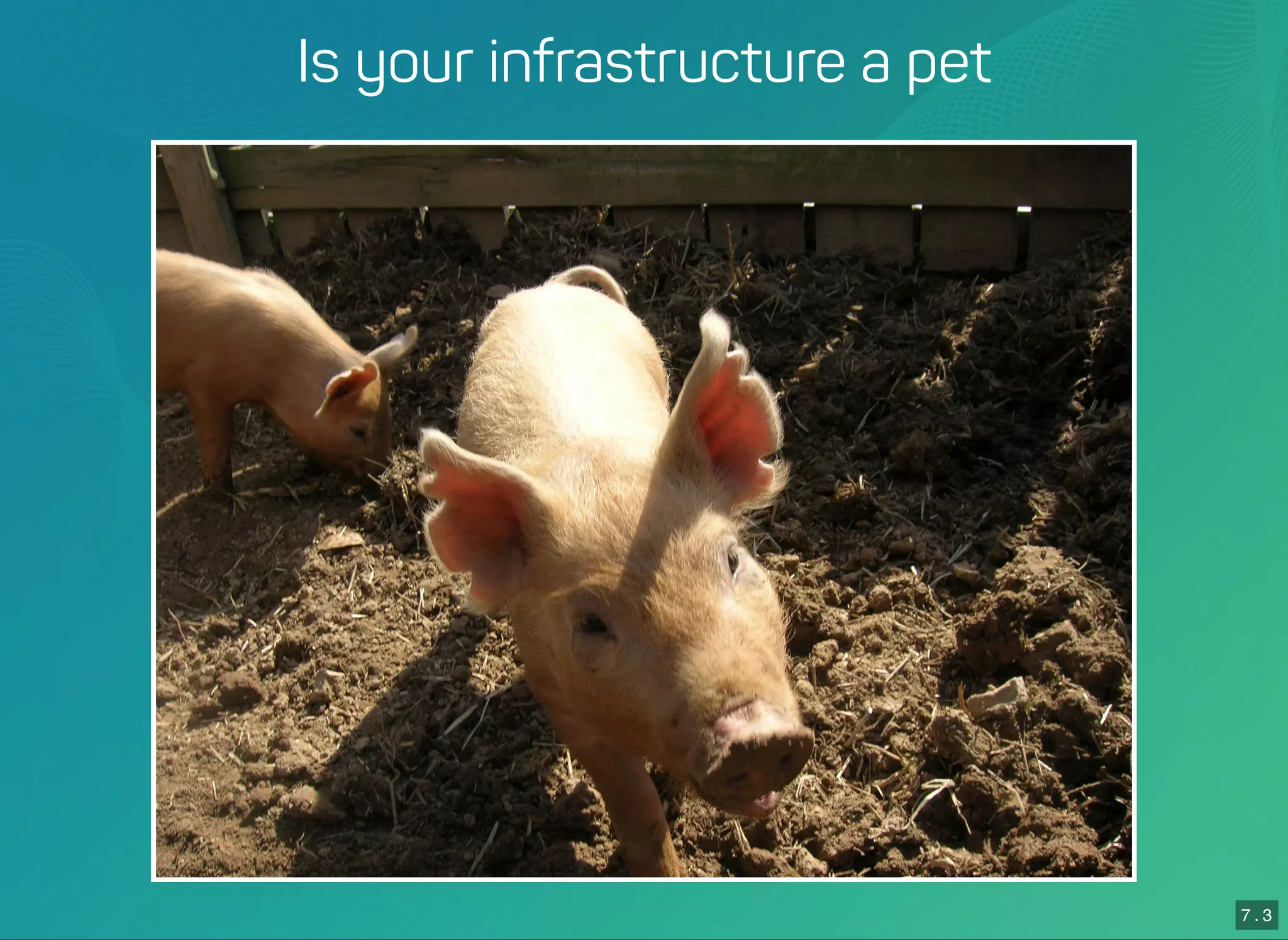 7 . 3
Is your infrastructure a pet
 