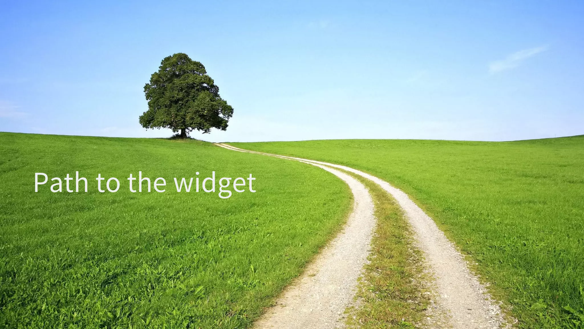 Path to the widget
 