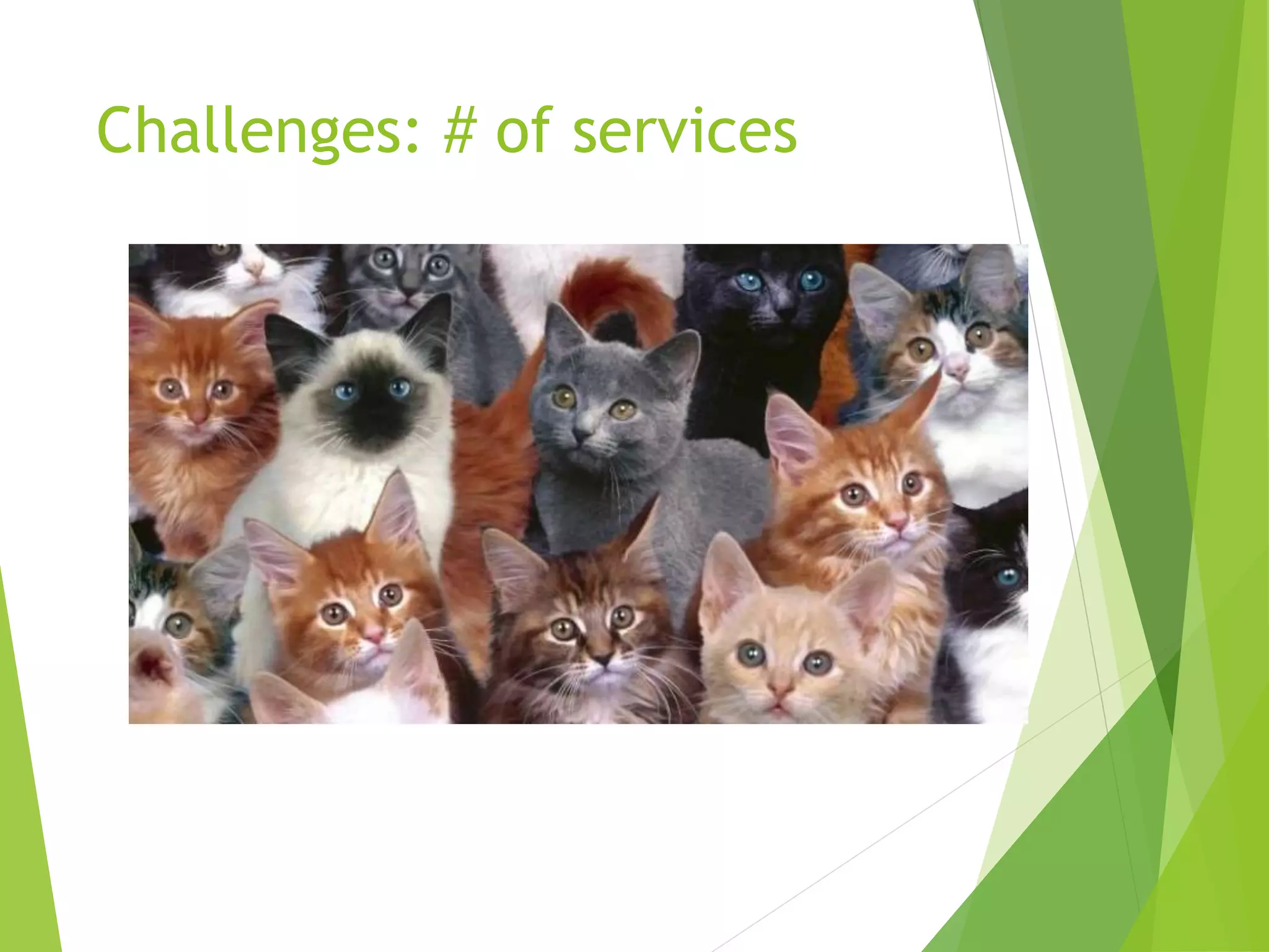 Challenges: # of services 