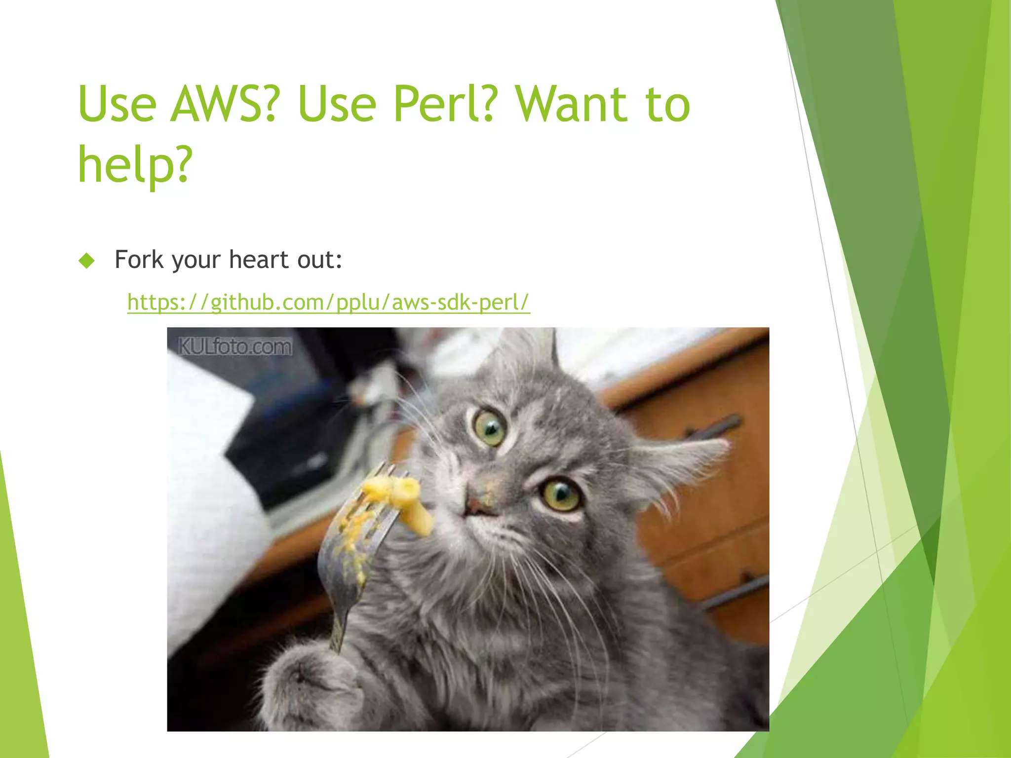 Use AWS? Use Perl? Want to help?  Fork your heart out: https://github.com/pplu/aws-sdk-perl/ 