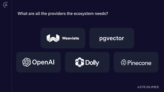What are all the providers the ecosystem needs?
pgvector
 
