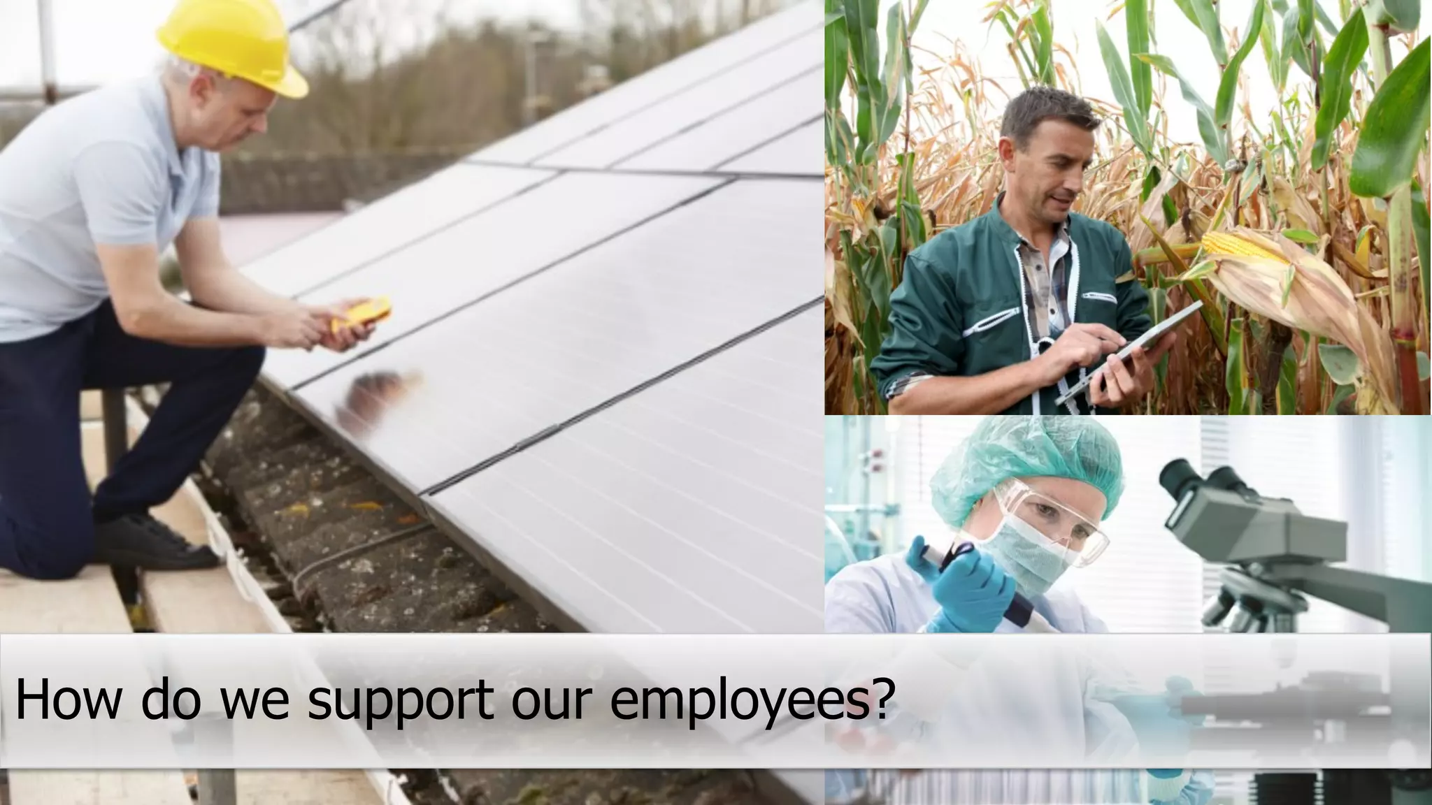 11Copyright © 2014 BSI. All rights reserved.
How do we support our employees?
 
