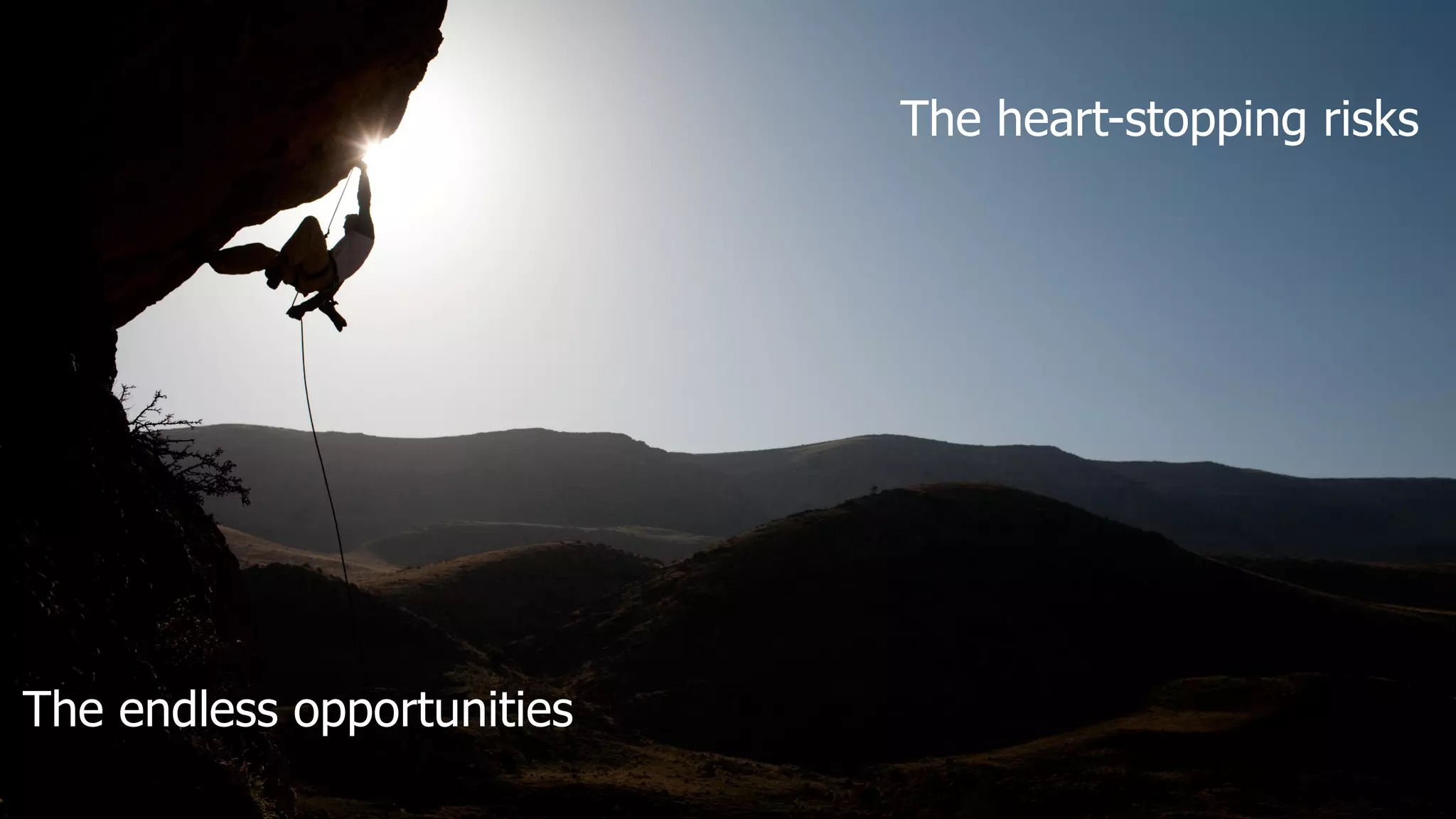 15Copyright © 2014 BSI. All rights reserved.
The endless opportunities
The heart-stopping risks
 