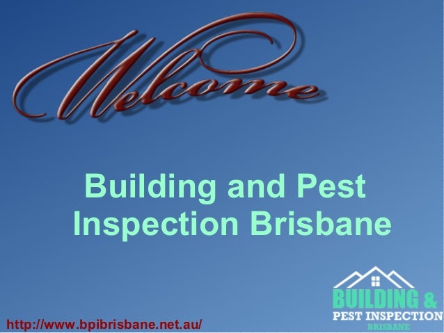 Building Inspection and Pest Control Services In Brisbane