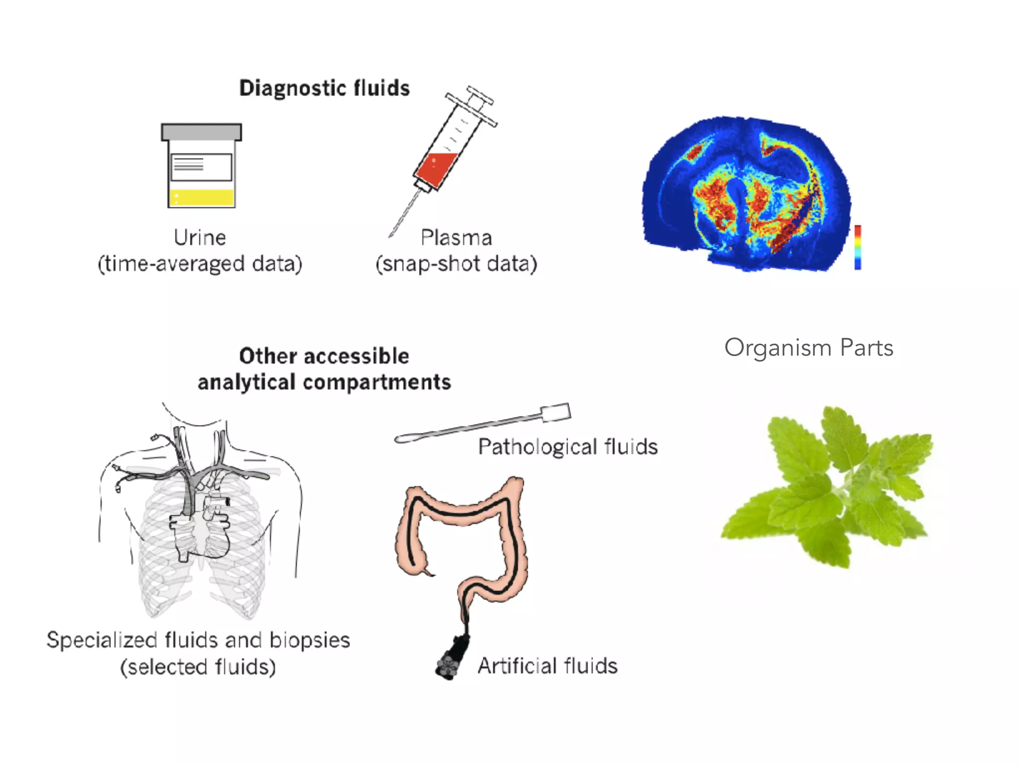 Phenome Centres popping
up all over the world
• London
• Birmingham
• Shanghai
• NIH RCMRCs
• …
 