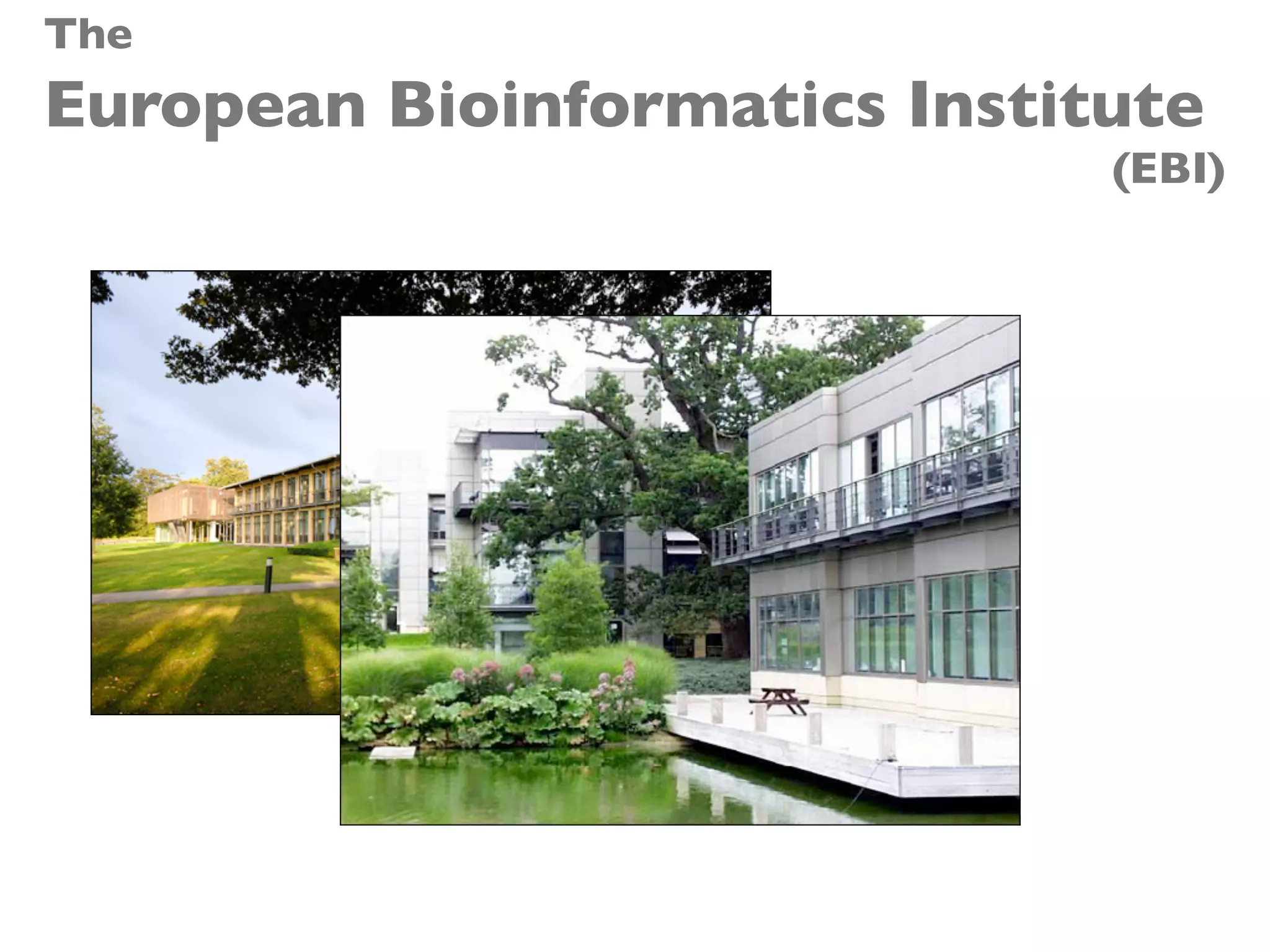The
European Bioinformatics Institute
(EBI)
 