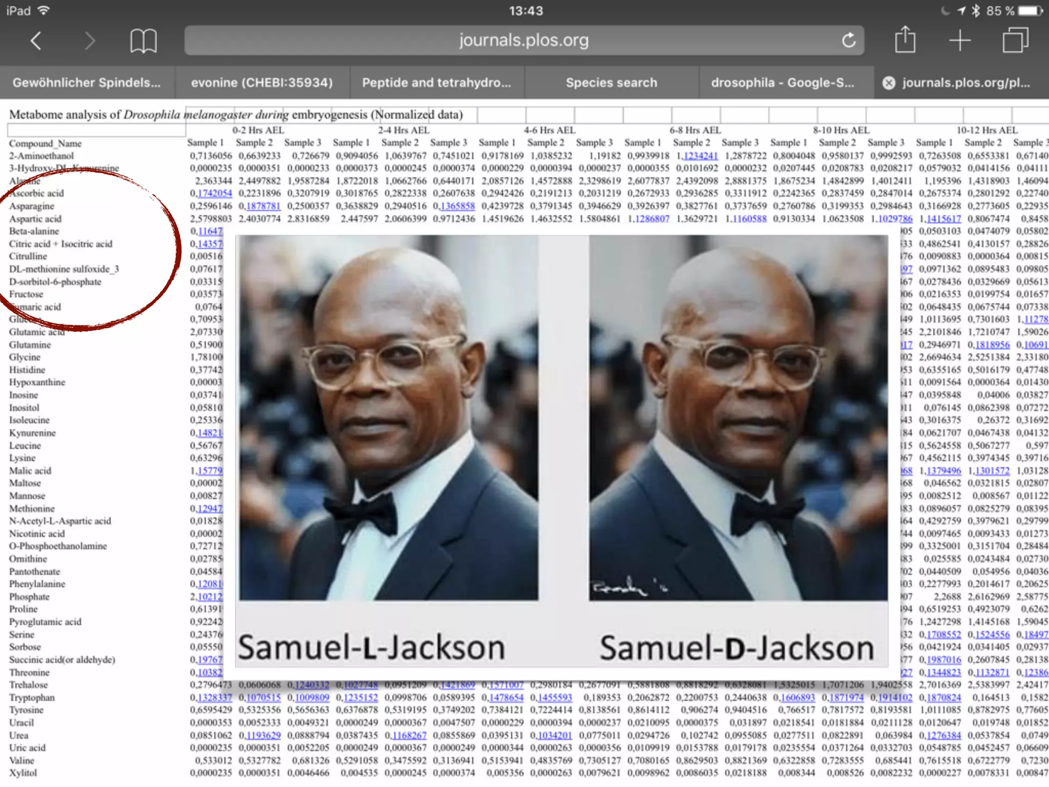 The MetaboLights
Reference Layer
 