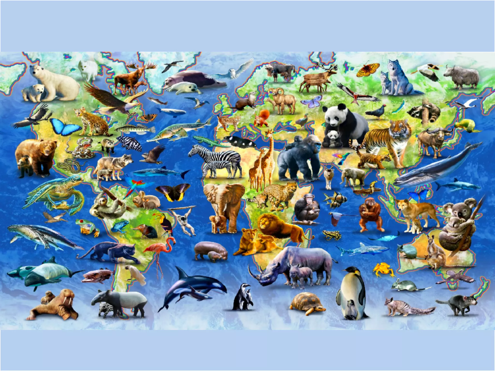Typical total ion chromatogram of serum from a healthy subject.
Psychogios N, Hau DD, Peng J, Guo AC, Mandal R, et al. (2011) The Human Serum Metabolome. PLoS ONE 6(2): e16957. doi:10.1371/
journal.pone.0016957
http://journals.plos.org/plosone/article?id=info:doi/10.1371/journal.pone.0016957
 