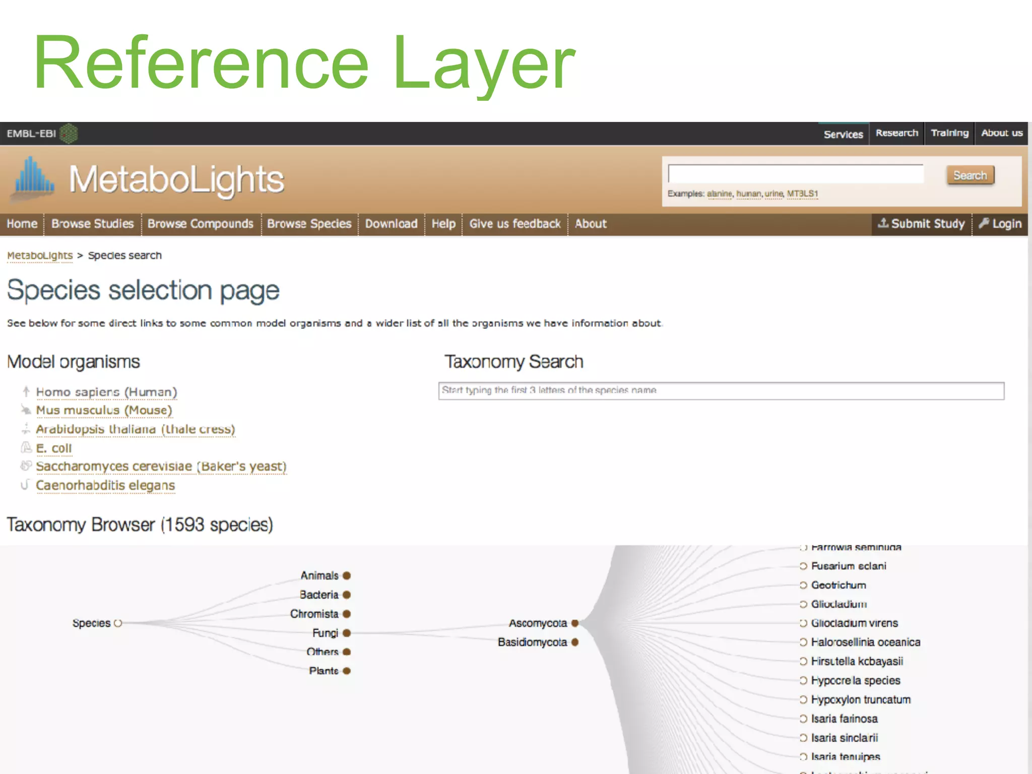 Funding and Collaborators
UK Research Councils (BBSRC, MRC)
European Commission
 