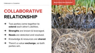 ➔
➔
➔
➔
➔
Collaboration vs. Competition
5
Mycorrhizae Root Extension
 