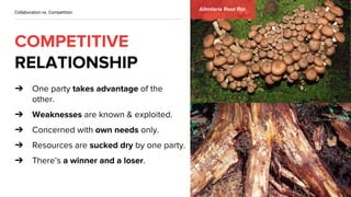 ➔
➔
➔
➔
➔
Collaboration vs. Competition
Allmilaria Root Rot
 