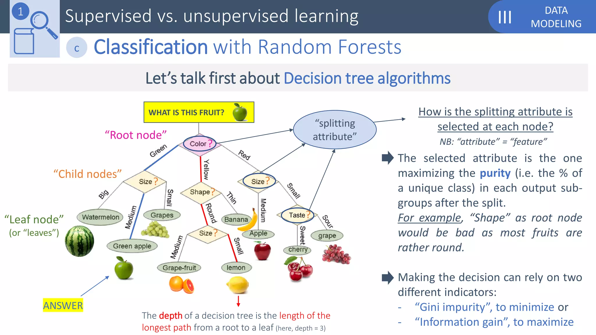 DATA
MODELINGIIISupervised vs. unsupervised learning1
Classification with Random Forestsc
WHAT IS THIS FRUIT?
?
??
?
?
?
“Root node”
“Child nodes”
The depth of a decision tree is the length of the
longest path from a root to a leaf (here, depth = 3)
“Leaf node”
(or “leaves”)
How is the splitting attribute is
selected at each node?
Taste
The selected attribute is the one
maximizing the purity (i.e. the % of
a unique class) in each output sub-
groups after the split.
For example, “Shape” as root node
would be bad as most fruits are
rather round.
Making the decision can rely on two
different indicators:
- “Gini impurity”, to minimize or
- “Information gain”, to maximize
ANSWER
“splitting
attribute”
Let’s talk first about Decision tree algorithms
NB: “attribute” = “feature”
 
