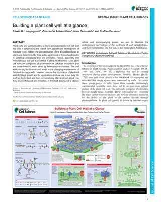 CELL SCIENCE AT A GLANCE SPECIAL ISSUE: PLANT CELL BIOLOGY
Building a plant cell wall at a glance
Edwin R. Lampugnani*, Ghazanfar Abbas Khan*, Marc Somssich* and Staffan Persson‡
ABSTRACT
Plant cells are surrounded by a strong polysaccharide-rich cell wall
that aids in determining the overall form, growth and development of
the plant body. Indeed, the unique shapes of the 40-odd cell types in
plants are determined by their walls, as removal of the cell wall results
in spherical protoplasts that are amorphic. Hence, assembly and
remodeling of the wall is essential in plant development. Most plant
cell walls are composed of a framework of cellulose microfibrils that
are cross-linked to each other by heteropolysaccharides. The cell
walls are highly dynamic and adapt to the changing requirements of
the plant during growth. However, despite the importance of plant cell
walls for plant growth and for applications that we use in our daily life
such as food, feed and fuel, comparatively little is known about how
they are synthesized and modified. In this Cell Science at a Glance
article and accompanying poster, we aim to illustrate the
underpinning cell biology of the synthesis of wall carbohydrates,
and their incorporation into the wall, in the model plant Arabidopsis.
KEY WORDS: Arabidopsis, Cell wall, Cellulose, Microtubules, Pectin,
Xyloglucan, Glycosyltransferase
Introduction
The invention of the microscope in the late 1600s was critical to fuel
interest in plant biology. Plant scientists such as Malpighi (1628–
1694) and Grew (1641–1712) exploited this tool to observe
structures during plant development. Notably, Hooke (1635–
1703) used thin slices of cork in his 1664 book Micrographia and
remarked that empty spaces were contained by walls. He coined
these spaces pores, or cells. Since these remarks, increasingly
sophisticated scientific tools have led to an ever-more refined
picture of the plant cell wall. The cell walls comprise a hydrostatic
polysaccharide-based skeleton. These polysaccharides constitute
the major carbon reservoir in plants and they are ultimately sustained
by the ability of the plant to fix carbon dioxide through
photosynthesis. As plant cell growth is driven by internal turgor,
School of Biosciences, University of Melbourne, Parkville 3010 VIC, Melbourne,
Australia.
*These authors contributed equally to this work
‡
Author for correspondence (Staffan.persson@unimelb.edu.au)
S.P., 0000-0002-6377-5132
1
© 2018. Published by The Company of Biologists Ltd | Journal of Cell Science (2018) 131, jcs207373. doi:10.1242/jcs.207373
Journal
of
Cell
Science
 