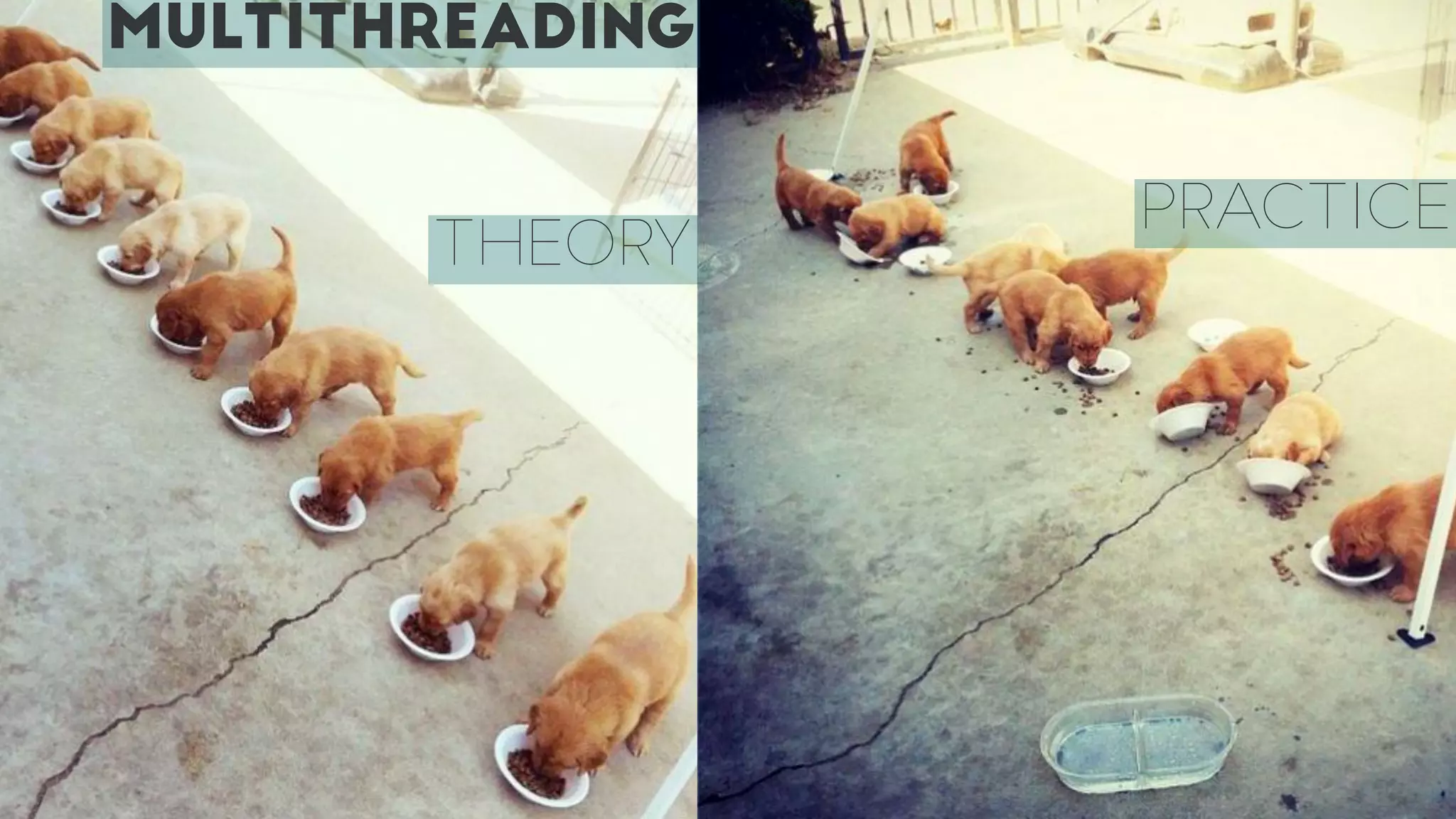 MULTITHREADING
THEORY
PRACTICE
 