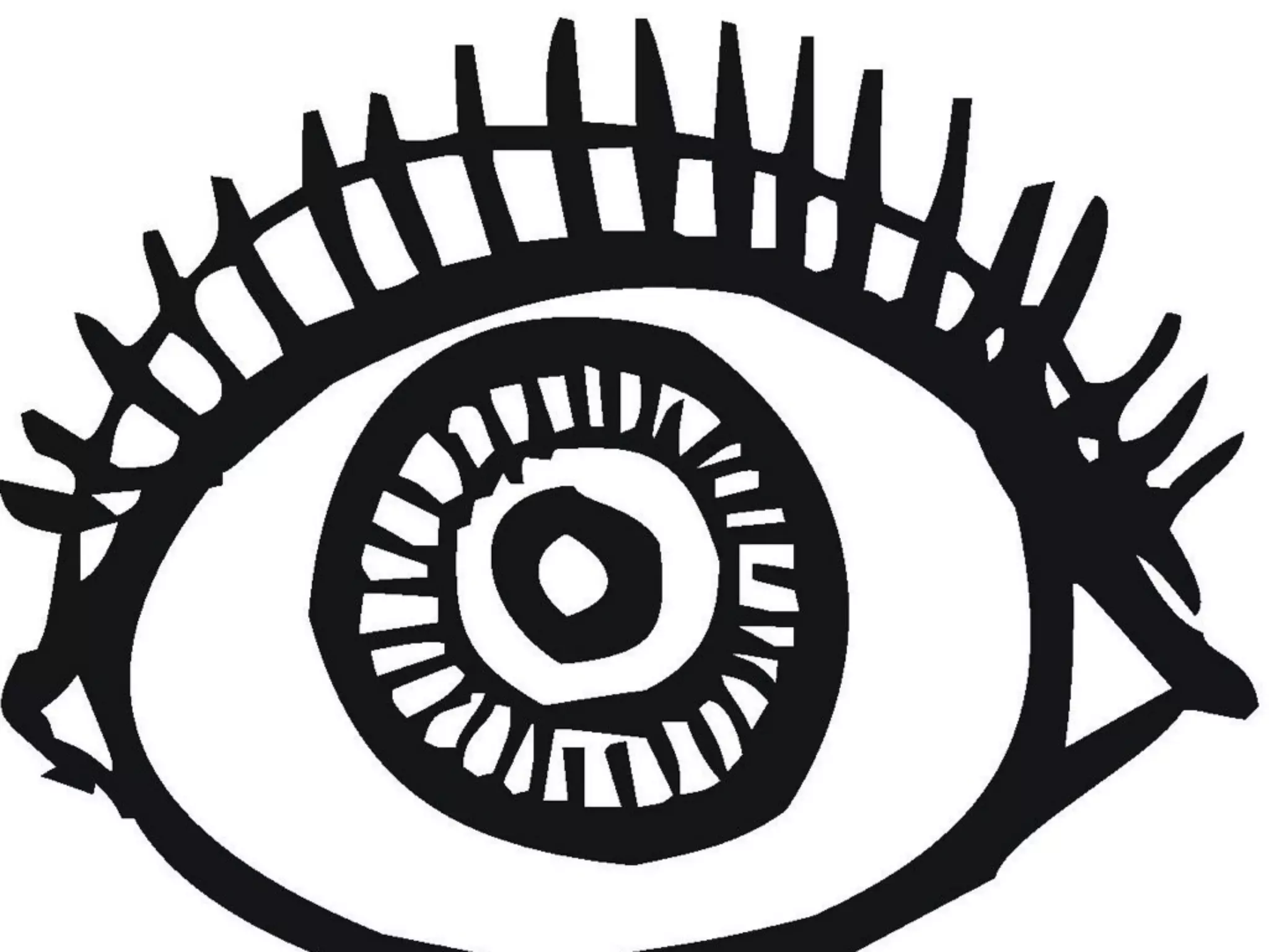 • Age
• Appearance
 • Eye contact
• Body Movement
• Personal Space
• Touch
• The words you s
 