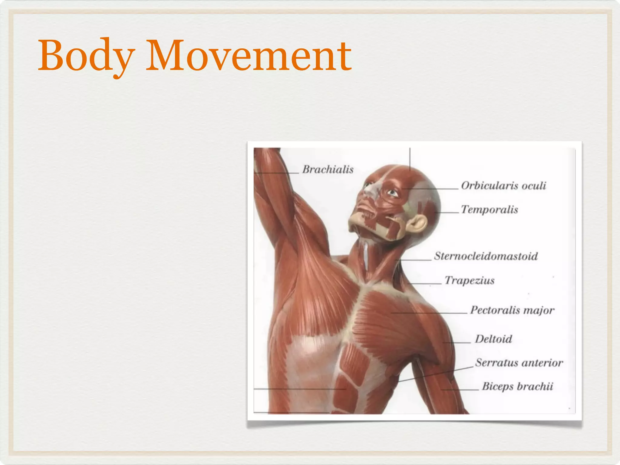 Body Movement
 