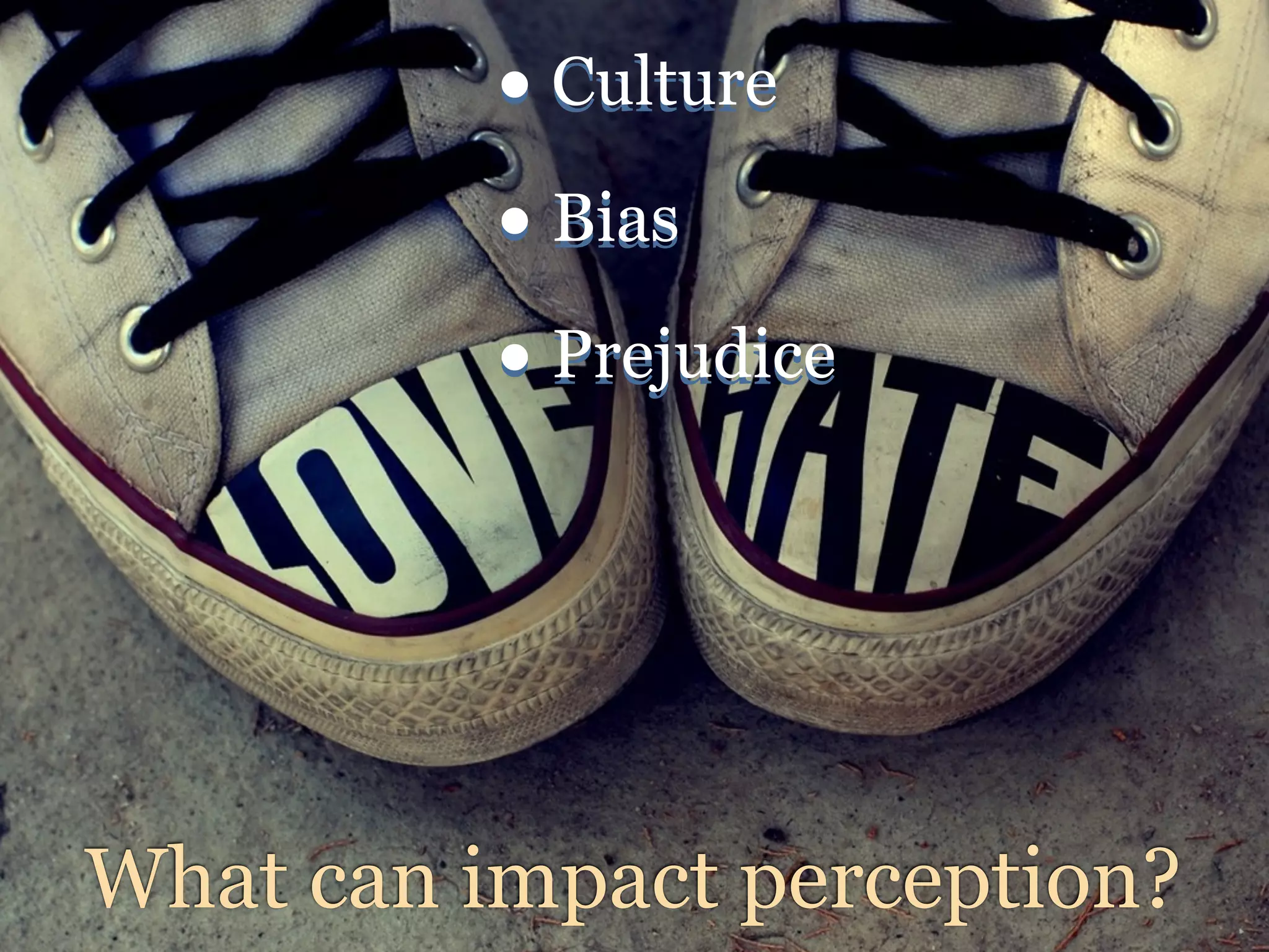 • Culture
          • Bias
          • Prejudice




What can impact perception?
 