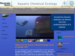 Sometimes themed
websites can detract
from the
professionalism of a
website.
 