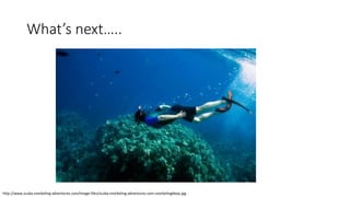 What’s next…..
http://www.scuba-snorkeling-adventures.com/image-files/scuba-snorkeling-adventures.com-snorkelingdeep.jpg
 