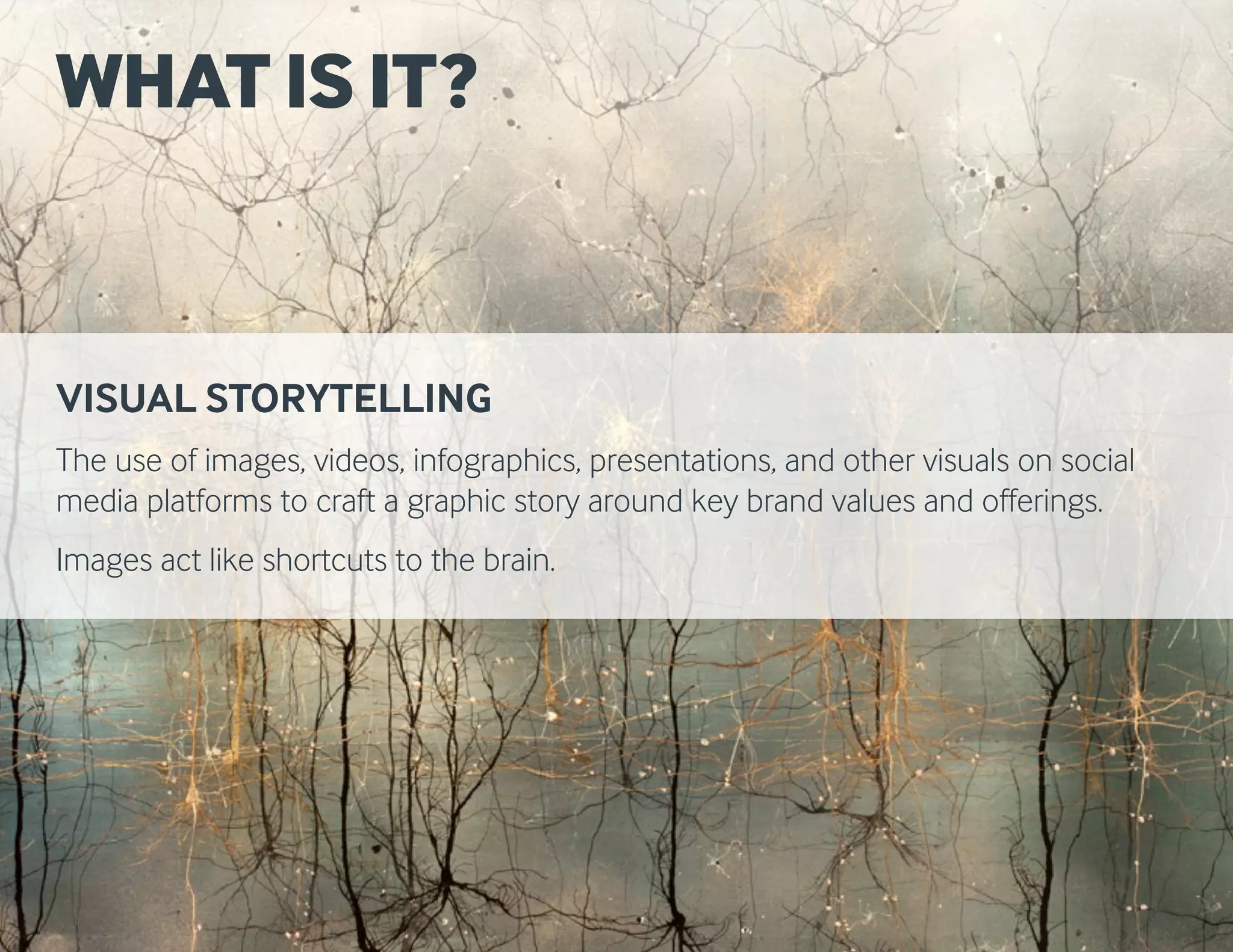 VISUAL STORYTELLING
The use of images, videos, infographics, presentations, and other visuals on social
media platforms to craft a graphic story around key brand values and offerings.
Images act like shortcuts to the brain.
WHAT IS IT?
 
