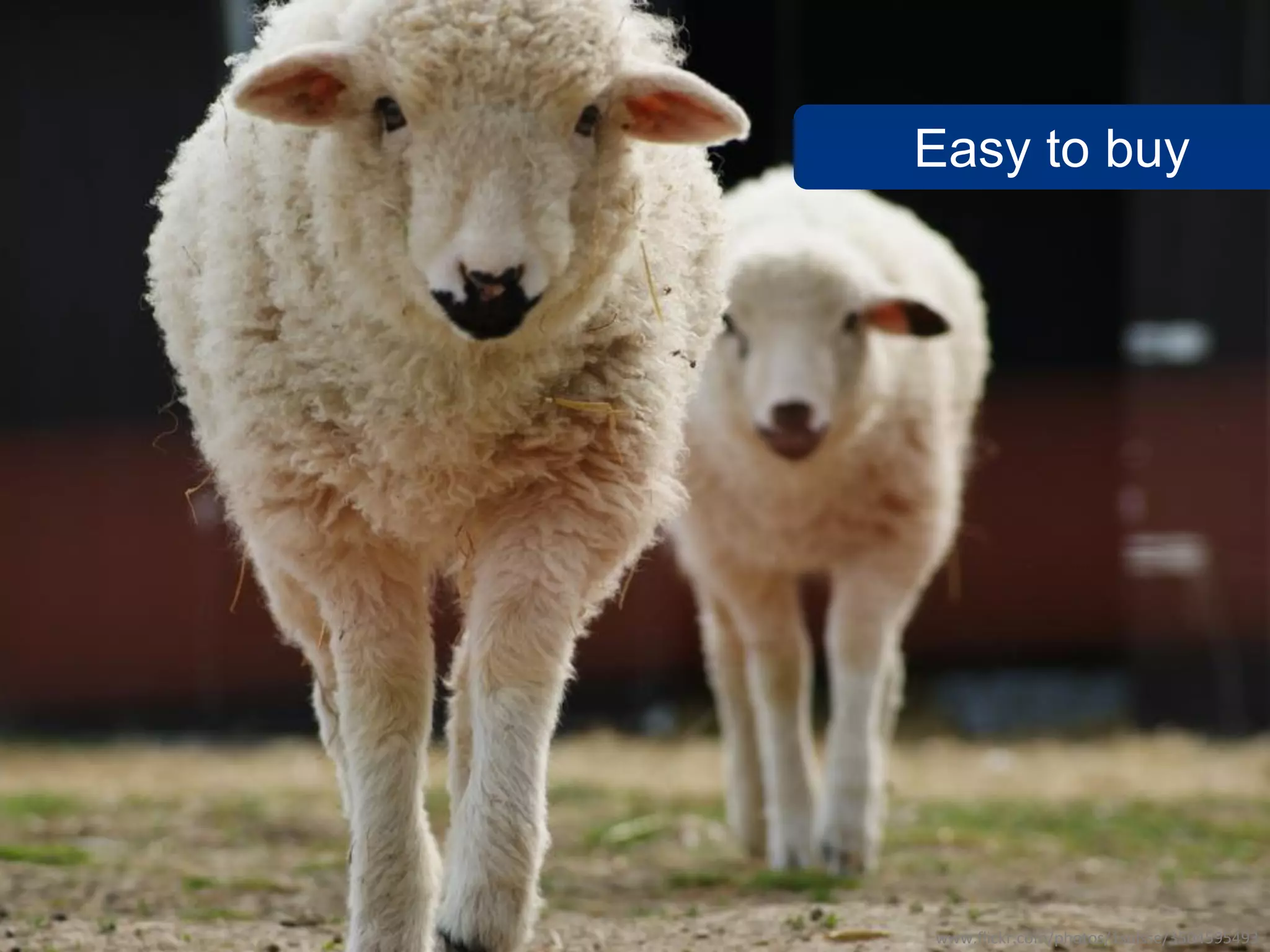 SalesChannel Europe ©2010 All rights reserved
Easy to buy
www.flickr.com/photos/1suisse/3504595493
 