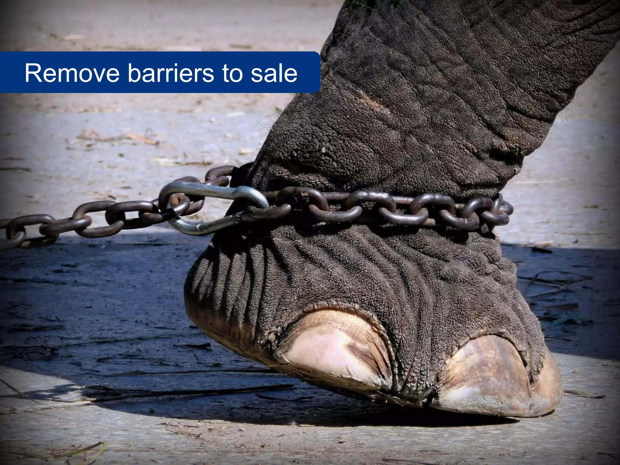 SalesChannel Europe ©2010 All rights reserved 33
Remove barriers to sale
 