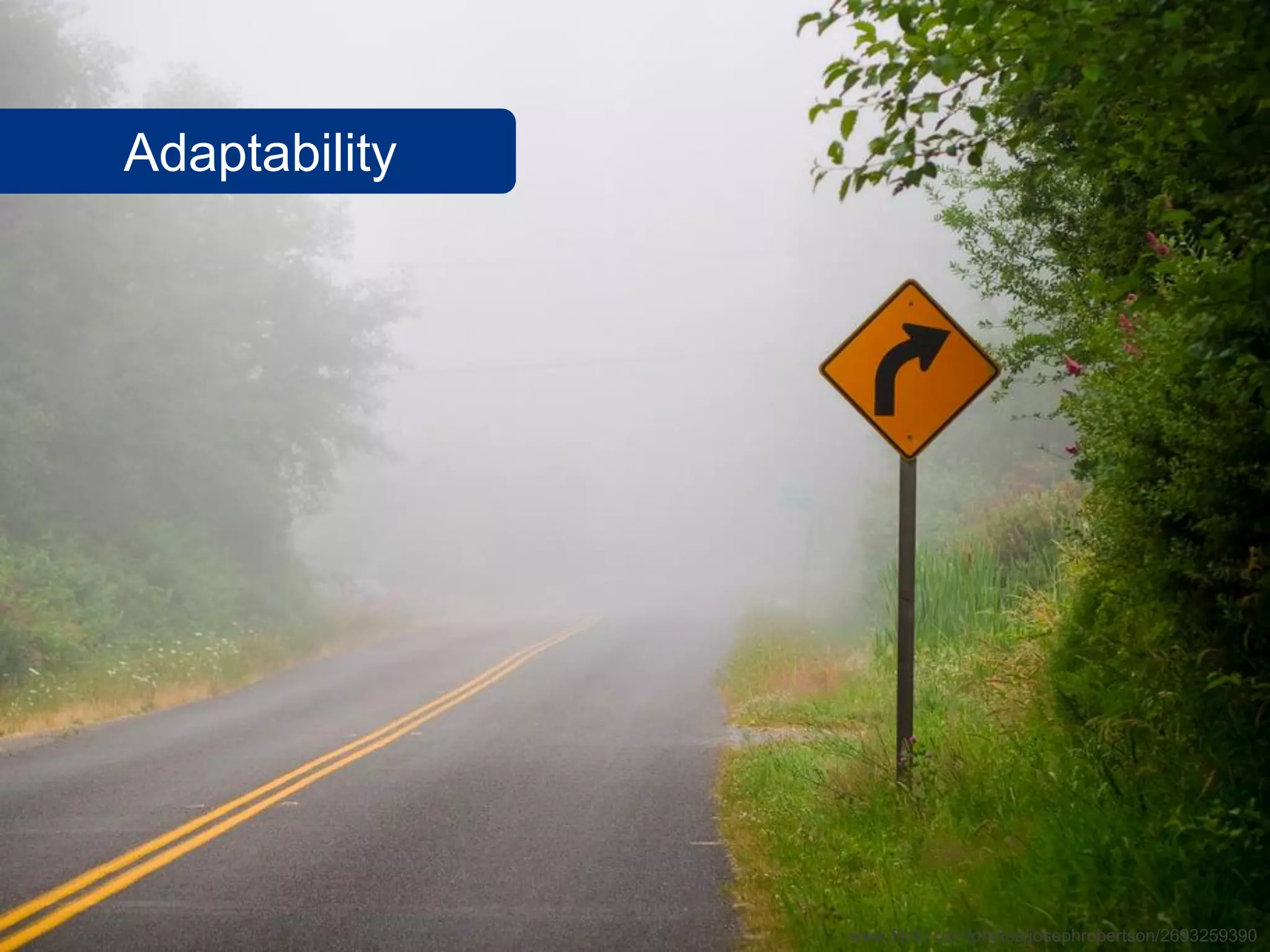 SalesChannel Europe ©2010 All rights reserved
Adaptability
www.flickr.com/photos/josephrobertson/2693259390
 