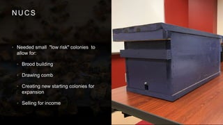 NUCS
• Needed small "low risk" colonies to
allow for:
• Brood building
• Drawing comb
• Creating new starting colonies for
expansion
• Selling for income
 