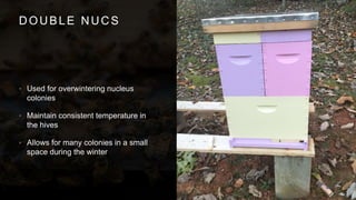 DOUBLE NUCS
• Used for overwintering nucleus
colonies
• Maintain consistent temperature in
the hives
• Allows for many colonies in a small
space during the winter
 