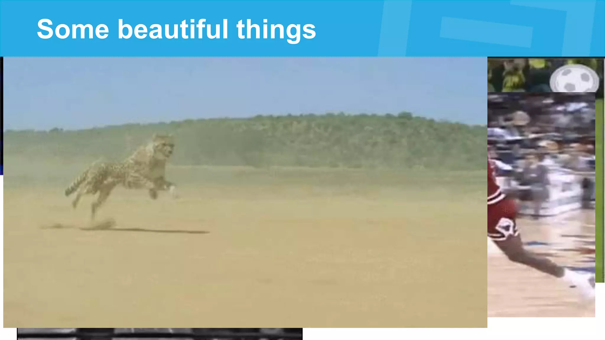 Some beautiful things
 