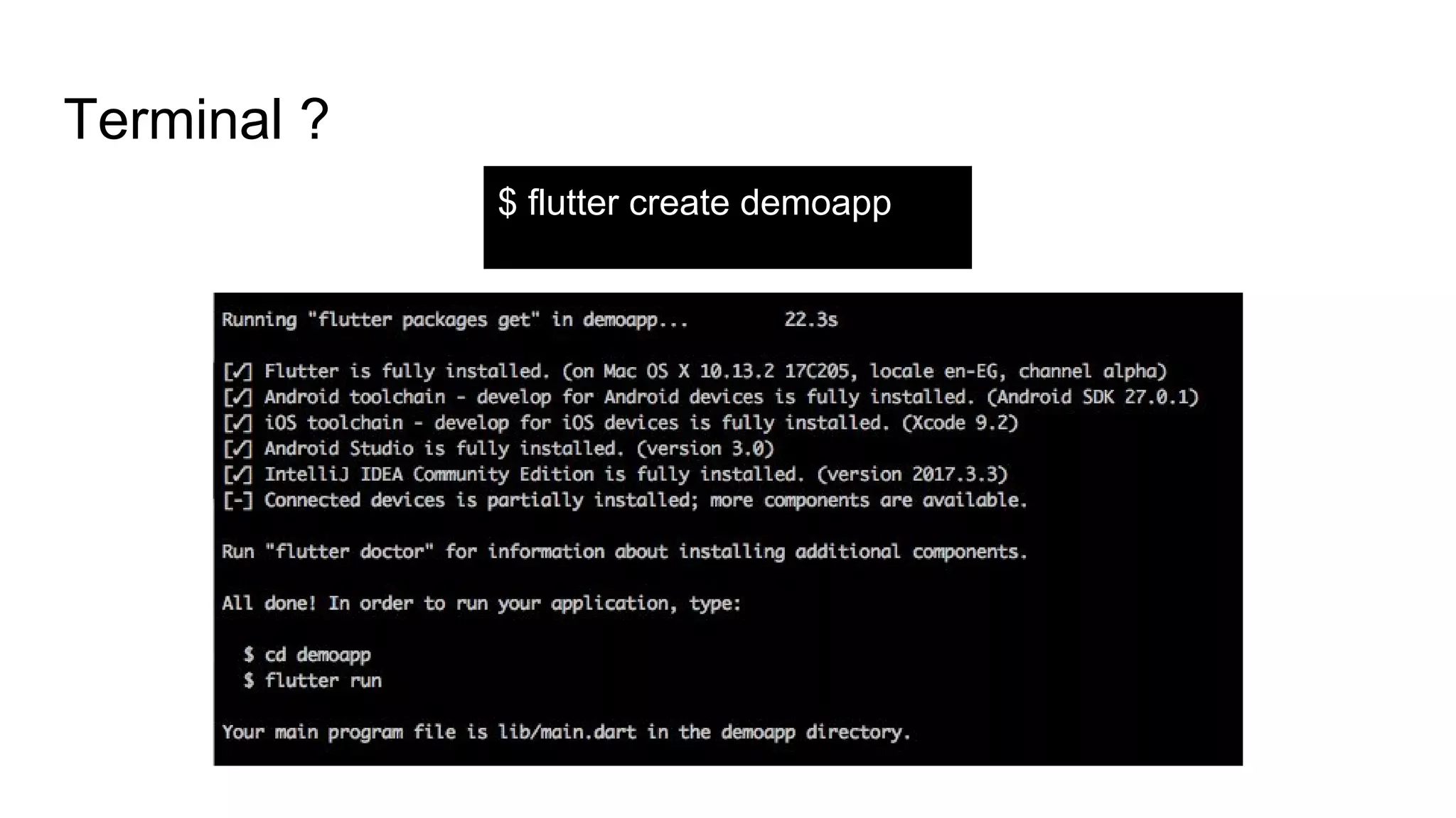 Terminal ?
$ flutter create demoapp
 