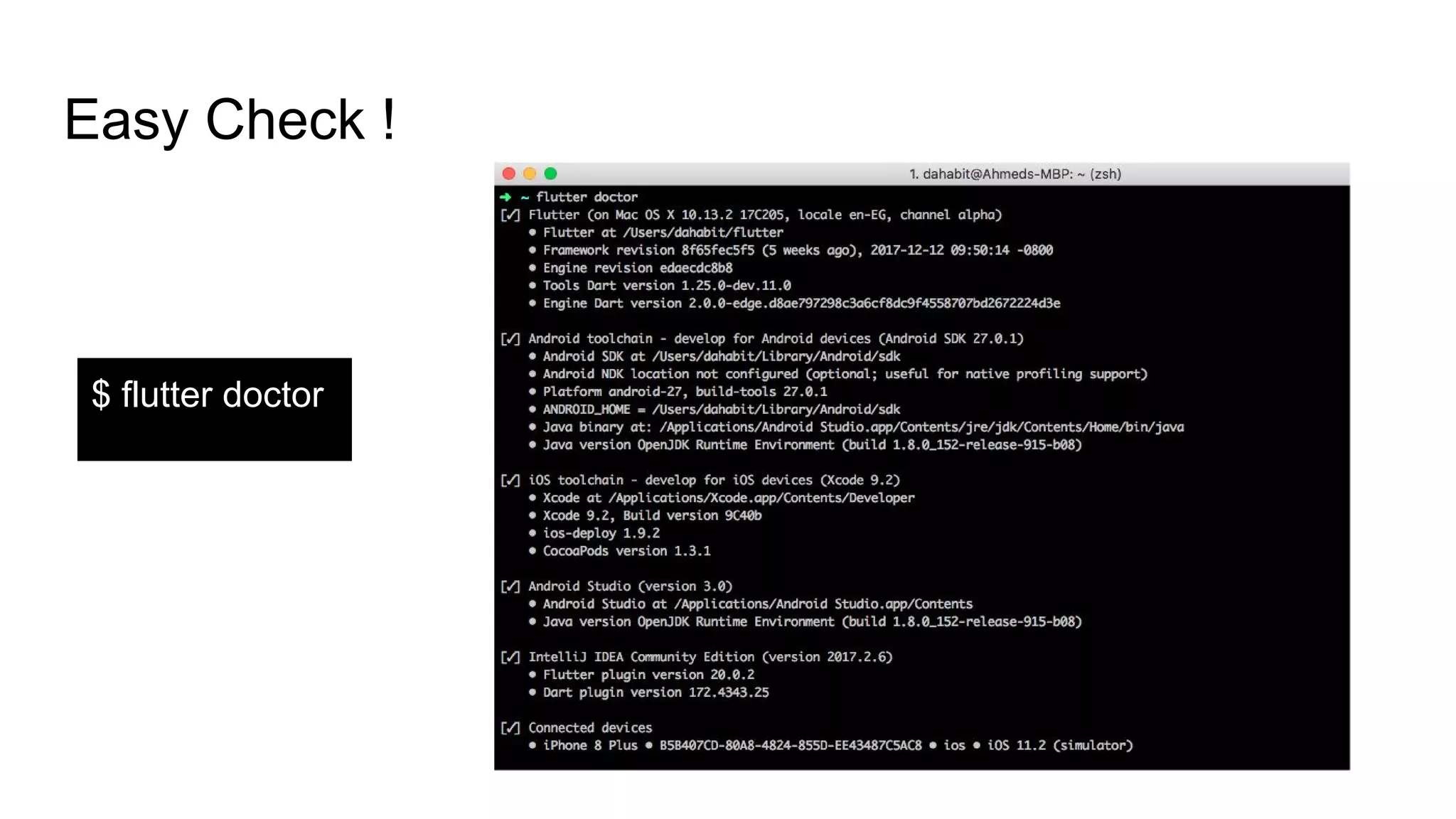 Easy Check !
$ flutter doctor
 