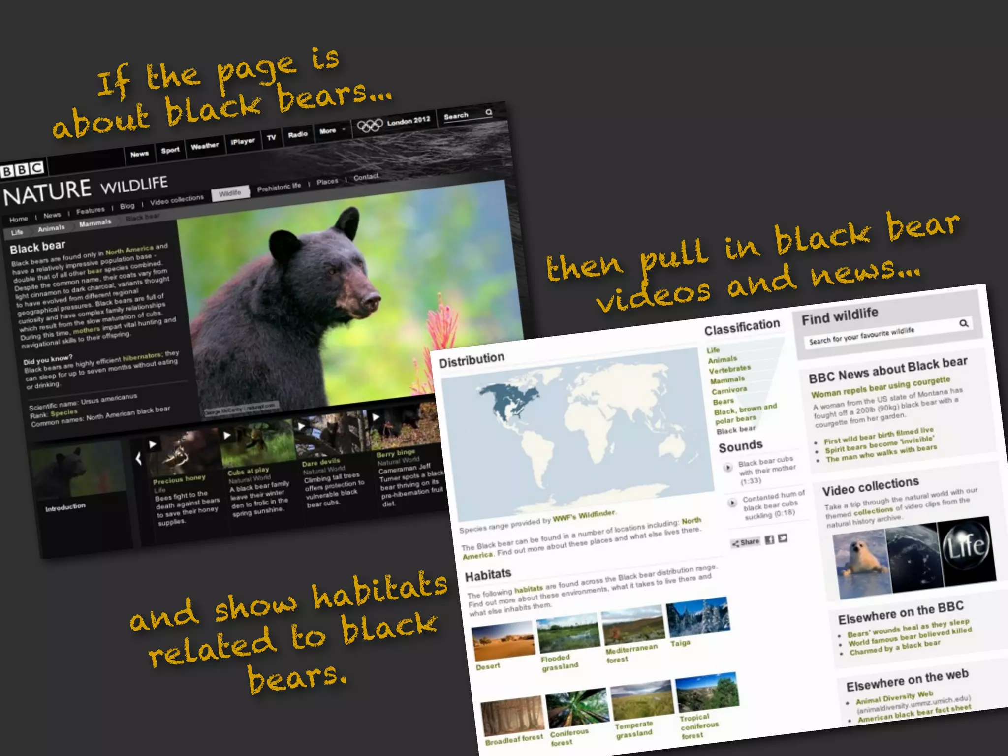 If the  page is
                  ears...
a   bo ut black b


                                                ck bear
                                en pul  l in bla
                              th               news...
                                 vi d eos and




                     bitats
       and  show ha ck
                 to bla
        relate d
              bears.
 