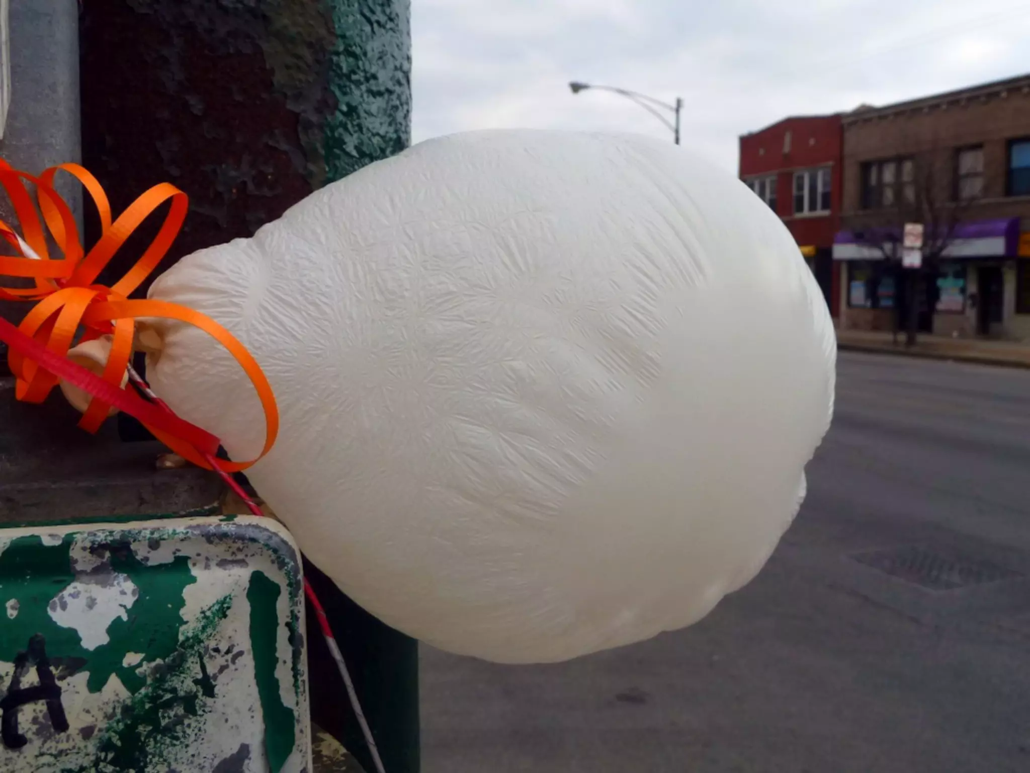 #WVpdx | 05.18.2012
  @sara_ann_marie
 