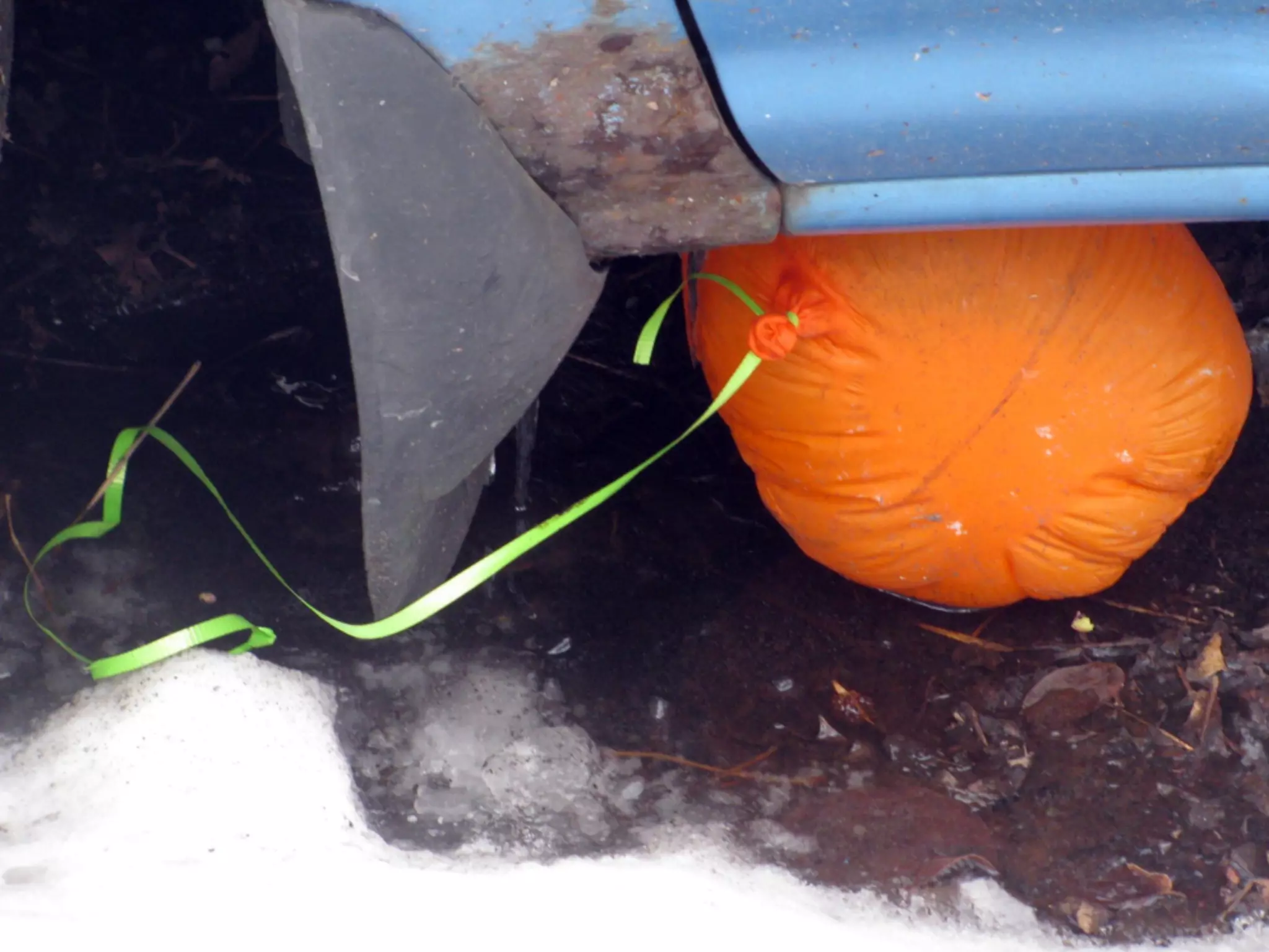 #WVpdx | 05.18.2012
  @sara_ann_marie
 