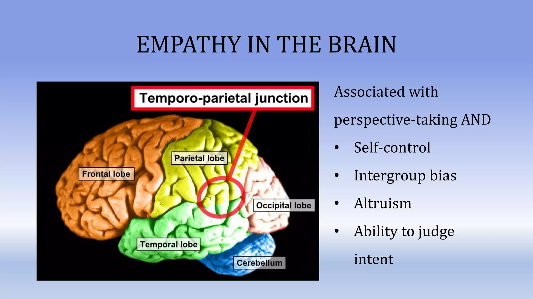 EMPATHY IN THE BRAIN
Associated with
perspective-taking AND
• Self-control
• Intergroup bias
• Altruism
• Ability to judge
intent
 