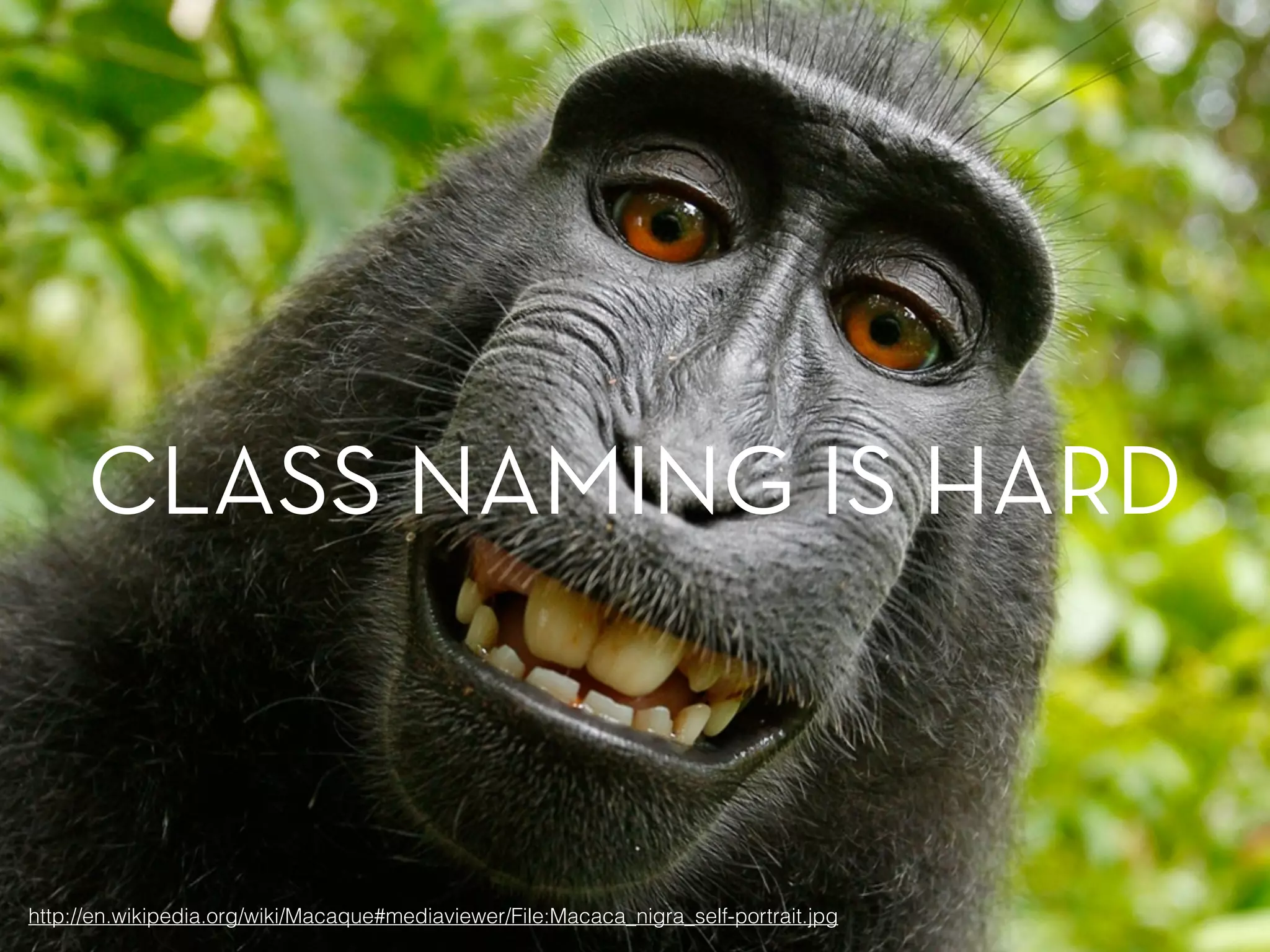 CLASS NAMING IS HARD 
http://en.wikipedia.org/wiki/Macaque#mediaviewer/File:Macaca_nigra_self-portrait.jpg 
 