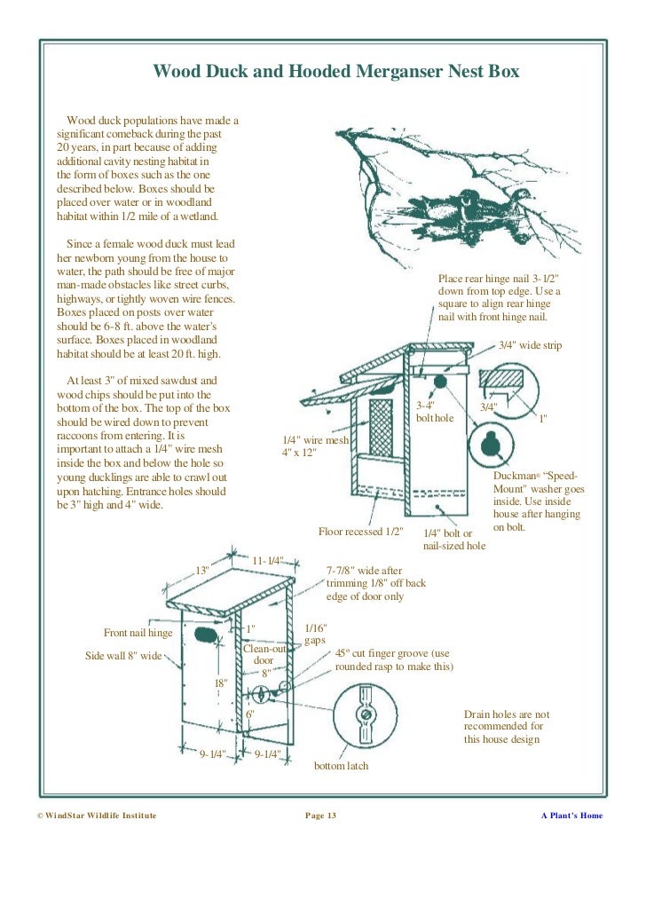 Wood Duck House Plans To Build