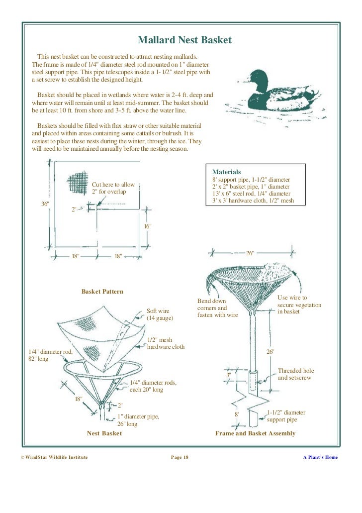 Building Nesting Boxes and Nesting Platforms