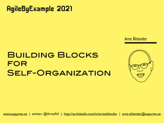 Building Blocks
for
Self-Organization
www.aqqurite.se | twitter: @ArneAhl | http://se.linkedin.com/in/arneahlander | arne.ahlander@aqqurite.se
 