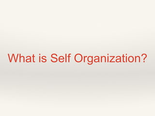 What is Self Organization?
 