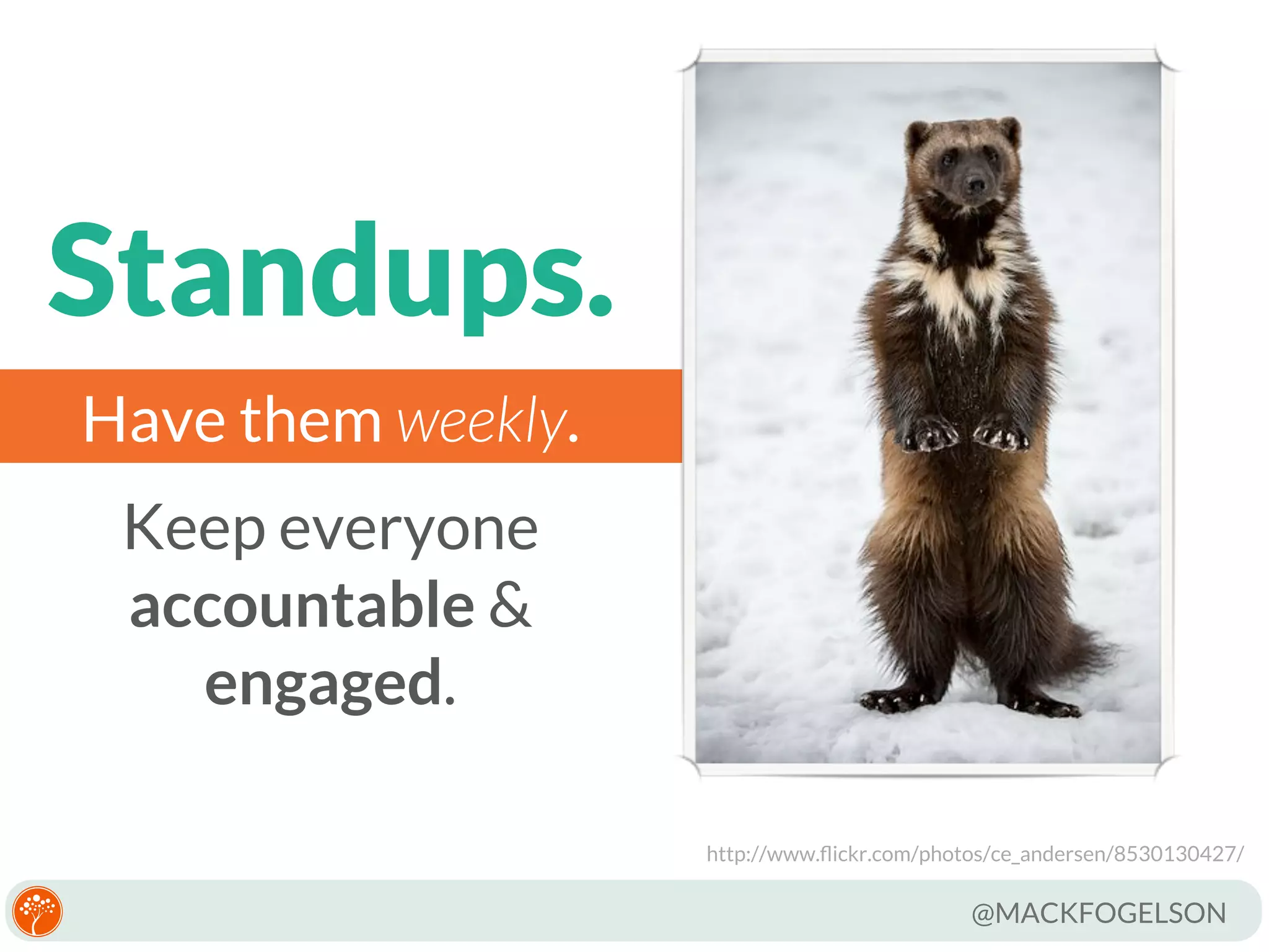 Standups.
Have them weekly.
Keep everyone
accountable &
engaged.
http://www.ﬂickr.com/photos/ce_andersen/8530130427/

@MACKFOGELSON

 