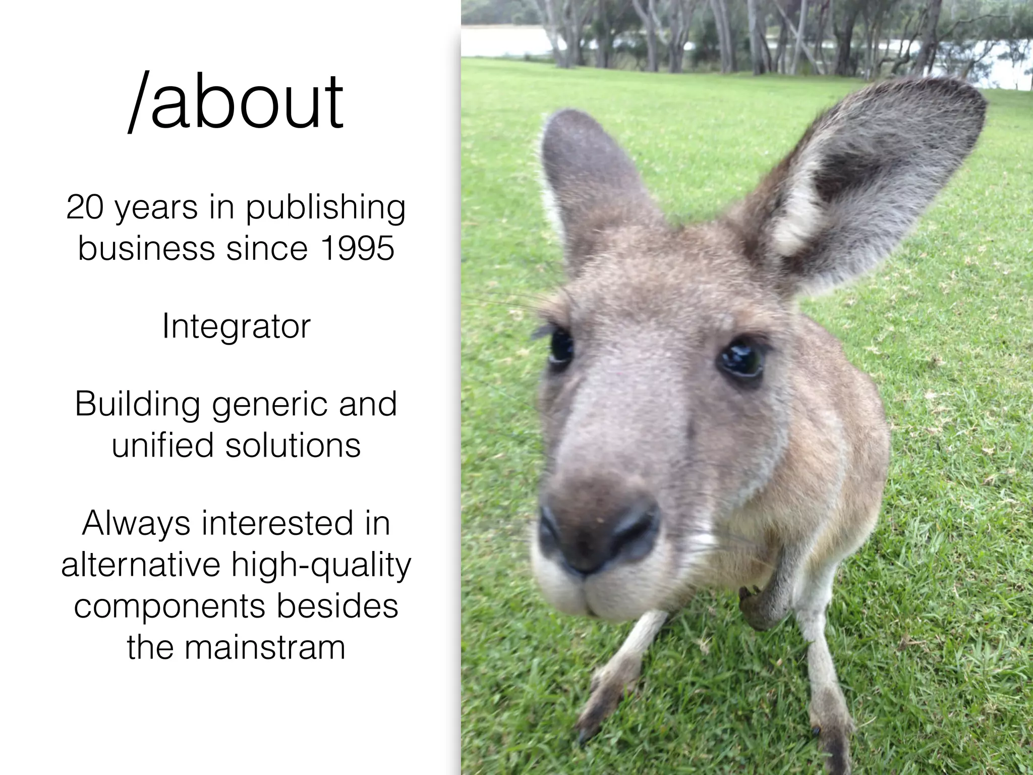 /about
20 years in publishing
business since 1995
Integrator
Building generic and
uniﬁed solutions
Always interested in
alternative high-quality
components besides
the mainstram
 