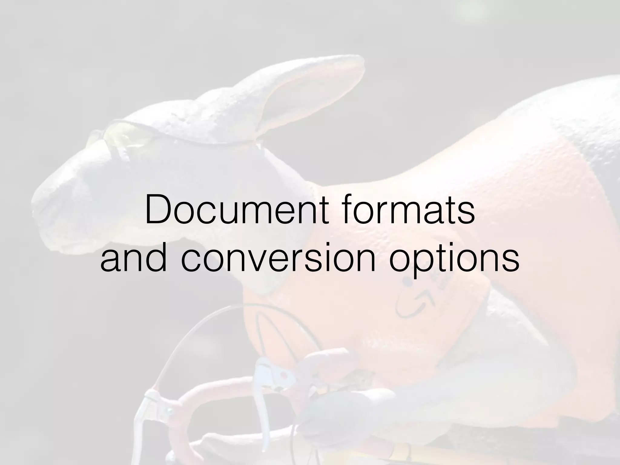 Document formats  
and conversion options
 