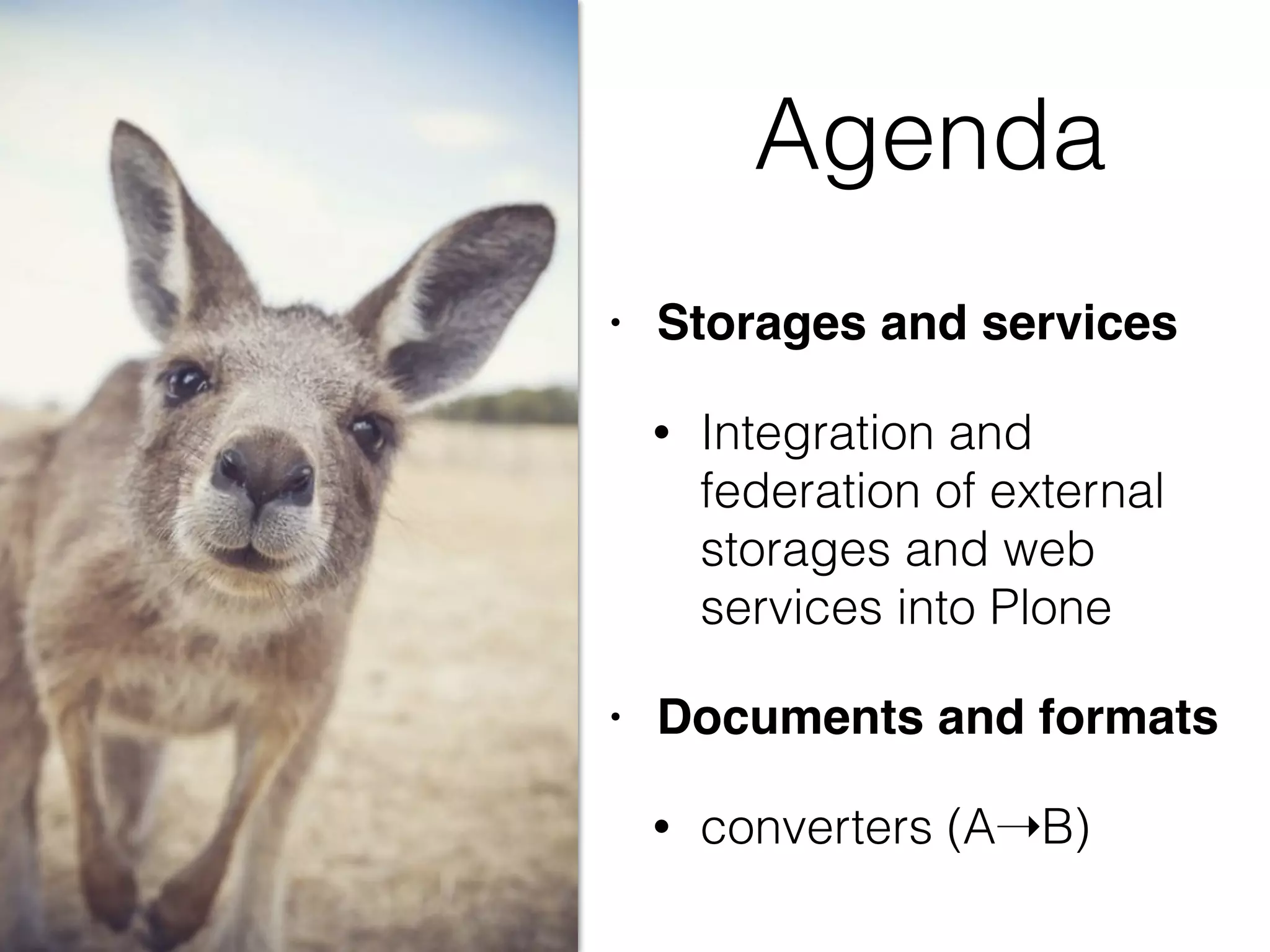 Agenda
• Storages and services
• Integration and
federation of external
storages and web
services into Plone
• Documents and formats
• converters (A➝B)
 