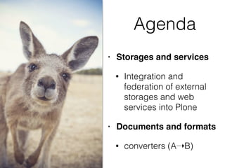 Agenda
• Storages and services
• Integration and
federation of external
storages and web
services into Plone
• Documents and formats
• converters (A➝B)
 