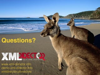 www.xml-director.info
demo.xml-director.info 
xmldirector.plonecore
Questions?
 