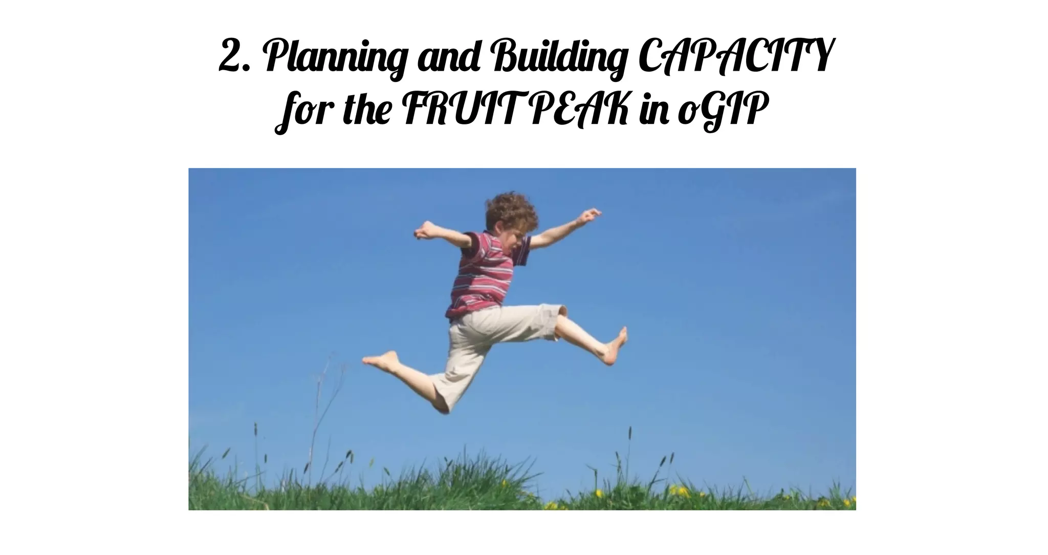 2. Planning and Building CAPACITY
for the FRUIT PEAK in oGIP
 